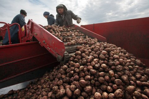 Аграрный бум, о котором твердили Медведев и Путин, оказался… «ошибкой»