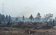 В России официально зарегистрировали более 550 природных пожаров