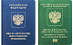 Минэкономики предложил выдавать «золотые паспорта» иностранцам за инвестиции. Криминальное прошлое не важно