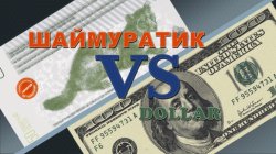 Специальный репортаж "Шаймуратик vs dollar"
