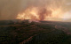 Пожар в Рязанской области тушат 9 000 человек