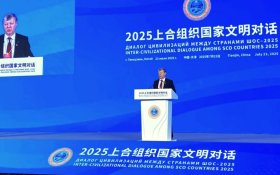 Дмитрий Новиков: Деятельность ШОС помогает формировать контуры будущего