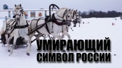 Специальный репортаж «Умирающий символ России»