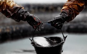 Россия добровольно сократит добычу нефти на 0,5 млн баррелей в сутки