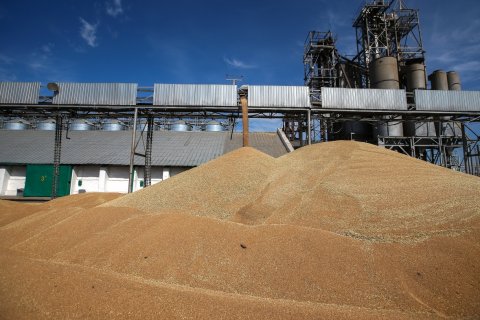 Минсельхоз: Россия потеряет мировое лидерство по экспорту пшеницы из-за турецкого эмбарго