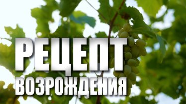 Специальный репортаж «Рецепт возрождения»