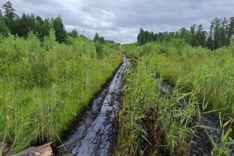«Транснефть» поймала «Роснефть» на сокрытии экологической аварии