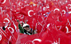СМИ: Турция может выйти из НАТО