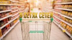Специальный репортаж «В сетях сетей»