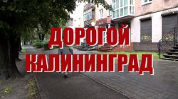 Специальный репортаж «Дорогой Калининград»