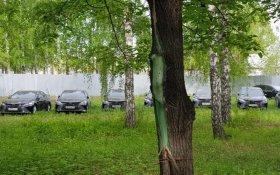 В лесу под Челябинском обнаружили 50 спрятанных новых чиновничьих иномарок