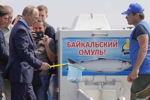 Минприроды предложило сократить в 10 раз водоохранную зону Байкала