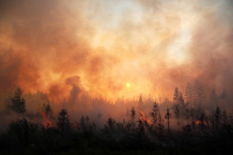 Коммунисты настаивают на увеличении финансирования мероприятий по тушению лесных пожаров