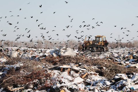 Счетная палата: Через несколько лет в 7 регионах мусор будет некуда выкидывать