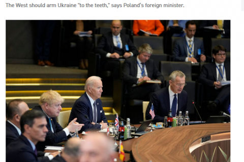 В Польше предложили «вооружить Украину до зубов» для противодействия России