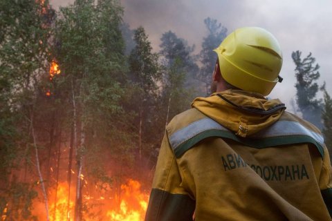В России по-прежнему горят сотни тысяч гектаров леса