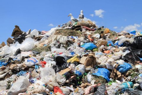 В Минприроды поддержали предложение депутата-коммуниста о запрете продажи одноразового пластика в России 