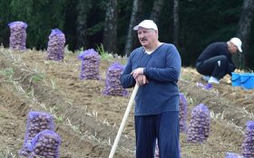 Лукашенко призвал всех белорусов сажать хотя бы по две бороздки картофеля