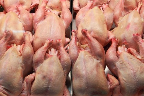 Цены на куриное мясо рекордно выросли 