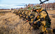 Вокруг Донбасса сосредоточена 130-тысячная группировка украинских войск