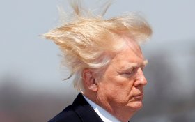 Ради своих «прекрасных волос» Дональд Трамп сделал «американский душ снова великим»