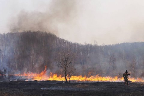 В КПРФ заявили: Лесные пожары в Сибири – экологическая катастрофа мирового уровня