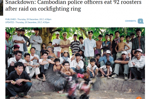 В Камбожде полиция спасла от боев 92 петуха и съела их