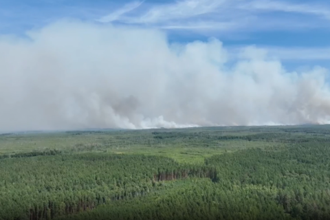 Рослесхоз обвинил рязанские власти в сокрытии масштабов лесных пожаров