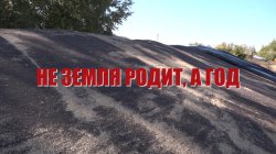 Специальный репортаж «Не земля родит, а год»